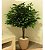 Kit 4 Folhas Planta Artificial Folhagem Verde Ficus 60 Cm - Imagem 5