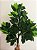 Kit 4 Folhas Planta Artificial Folhagem Verde Ficus 60 Cm - Imagem 4