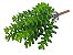 Planta Verde Suculenta Artificial Decoração Buquê Galho 20cm - Imagem 3