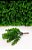 Planta Verde Suculenta Artificial Decoração Buquê Galho 20cm - Imagem 9
