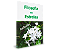 Filosofia das estrelas - Imagem 1