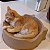 Cama de papelão para gatos CatBed Terra - Imagem 2