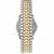 Relógio Timex Easy Reader Bicolor ref.TW2V40100 - Imagem 2