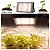 Refletor 50W LED Grow Full Spectrum Planta Cultivo Externo IP65 Bivolt - Imagem 5