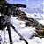 RODE NTG 2 Microfone Shotgun - Imagem 8