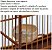 1 Painço Português para esquentar pássaros + 2 ninhos com suporte adaptável e regulável - Imagem 3