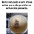 1 Painço Português para esquentar pássaros + 3 ninhos com suporte adaptável e regulável - Imagem 3
