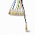 Chicote Pedal P1 Dabi Gnatus Saevo Conector Dupont 10 Vias - Imagem 7