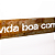 Frase de Ferro Rust - Eu quero partilhar a vida boa com você - Imagem 2