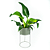 Suporte de Plantas com vaso Humaitá - Imagem 5