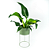 Suporte de Plantas com vaso Humaitá - Imagem 9