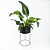 Suporte de Plantas com vaso Humaitá - Imagem 13