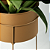 Suporte de Plantas com vaso Humaitá - Imagem 16