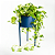 Suporte de Plantas com vaso Humaitá 2.0 - Imagem 20
