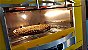 Assador a Gás de Embutir 4 Espetos Titan Gás Natural 220V Amarelo - Imagem 3