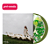 Vinil Kacey Musgraves Deeper Into The Well ( Blood Records Exclusive Lp) - Imagem 1