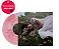 Vinil Olivia Rodrigo You Seem Pretty Sad For A Girl So In Love - Apple Music Exclusive 'Feminine Intuition' Lenticular Cover Pink - Imagem 3