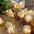 Cordão Luminoso Flor 10 Rosas Led Pilha Branco Quente - Imagem 1