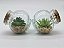 Plantas Mini Suculentas Artificiais Potinho De Vidro - Imagem 5