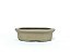 Vaso Bonsai Oval Literato 16,5x12,5x4,5cm - Imagem 10