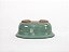 Vaso Oval Literato 21x16x7,5cm Bonsai Yama-en - Imagem 12