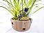 OSMOCOTE PLUS 15-9-12 + ME (3M)  150g ICL - Imagem 6