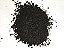 PINUS COMPOSTADO 1 LITRO - Imagem 5
