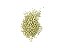 Fertilizante Osmocote PLUS 500g 8 meses 15-9-12 - Imagem 2
