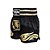 Shorts Muay Thai | Kickboxing - Top King - Imagem 1