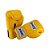 Luvas de Muay Thai | Boxe - Windy - Imagem 2