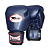 Luvas de Muay Thai | Boxe - Twins Special - Imagem 1