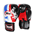 Luvas de Muay Thai | Boxe - Twins Special "Thailand" - Imagem 1