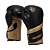 Luva de Muay Thai | Boxe - Pretorian "Elite" 12oz - Imagem 1