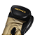 Luva de Muay Thai | Boxe - Pretorian "Elite" 14oz - Imagem 2