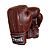 Luvas de Muay Thai | Boxe - Twins Special BGVL14 - Imagem 1