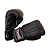 Luvas de Muay Thai | Boxe - Twins Special BGVL14 - Imagem 2