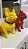 Buldogue Frances - Imagem 6