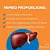 Suplemento Cães Bioctal Hepbio Candioli 10 Comprimidos 20g - Imagem 3