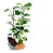 Planta Artificial 8021 Oceantech 20cm - Imagem 2