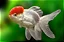 Kinguio var. - Imagem 6
