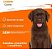 Biscoito Golden Cookie para Cães Filhotes 350g - Imagem 2