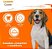 Biscoito Golden Cookie para Cães Porte Pequeno 350g - Imagem 3