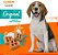 Biscoito Golden Cookie para Cães Porte Pequeno 350g - Imagem 2