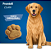 Biscoito Premier Pet Cookie para Cães Adultos 250g - Imagem 4