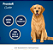 Biscoito Premier Pet Cookie para Cães Adultos 250g - Imagem 3