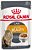 Ração Úmida Royal Canin Sachê Feline Intense Beauty para Gatos 85g - Imagem 1