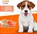 Biscoito Golden Cookie Salmão e Quinoa para Cães Filhotes 350g - Imagem 2