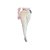 Calça Cargo Jogger Bolsos Pantacourt Laço Feminino Bengaline Moda - Imagem 10