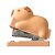 GRAMPEADOR CAPIVARA - Imagem 2
