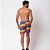 Shorts Tactel Santo Luxo Man Pride Flag - Imagem 2